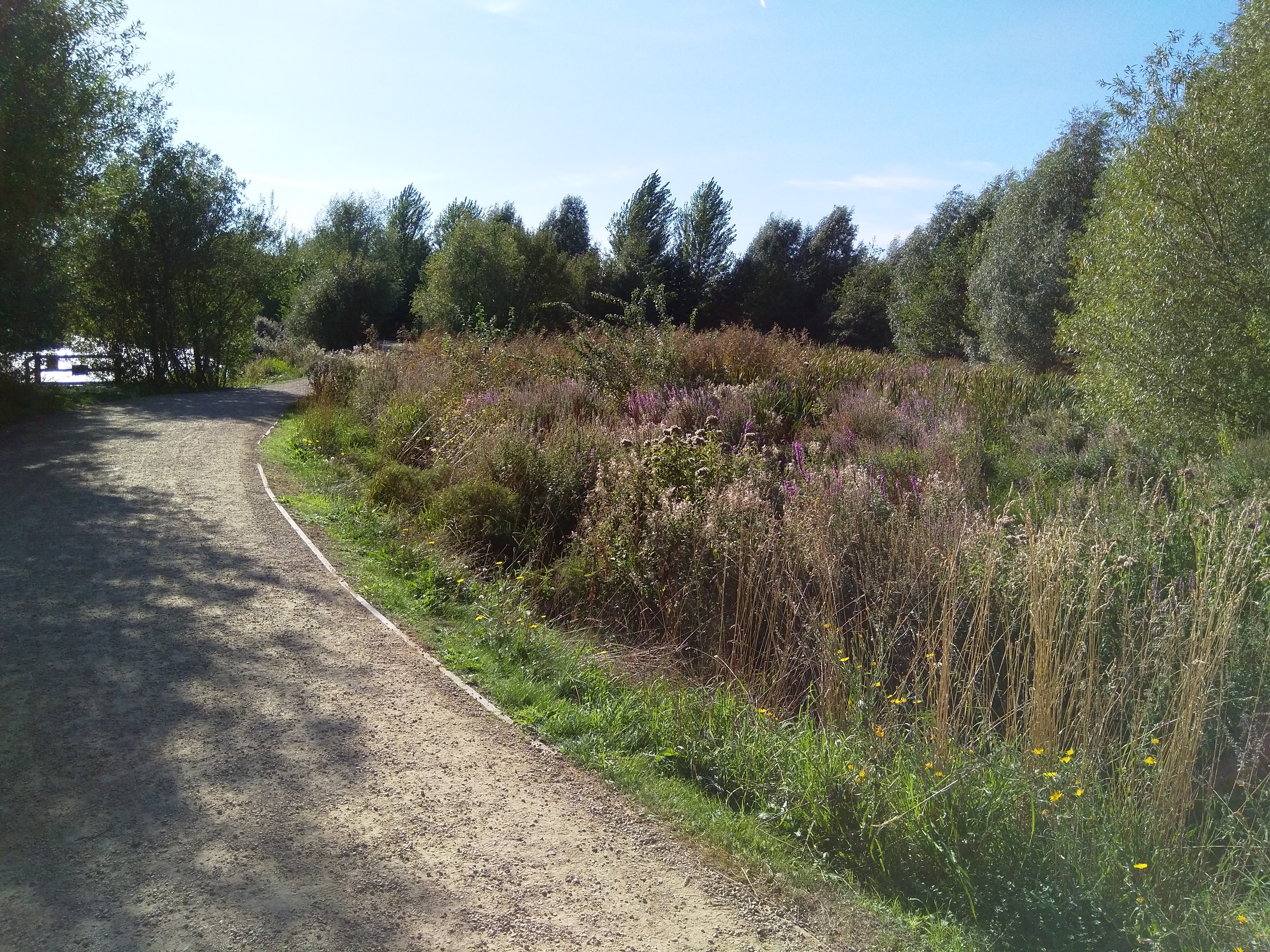 Olympic Park greenery’s